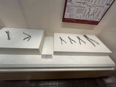-白求恩柯棣华纪念馆