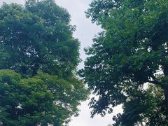 -南通洲际绿博园