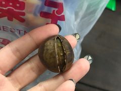 -小宝栗子(嘉华国际商业中心店)