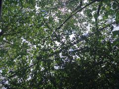 -白鹭湾湿地公园