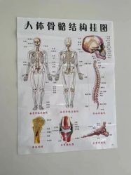 点击看大图 -FineYoga梵音瑜伽·普拉提