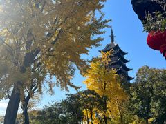 -常熟方塔园