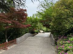 -习家池
