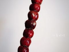 -和禄德冰糖葫芦(东四朝内菜市场店)