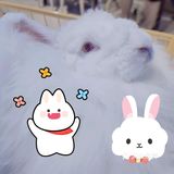 O这里是网红拍照打卡，闺蜜聚会
