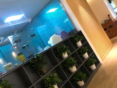 -青瓷火锅料理(西单大悦城店)