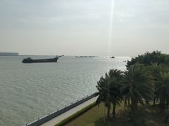 -大湾区中央湿地公园