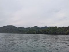 -黄山太平湖风景区