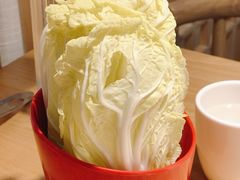 大白菜-守柴炉烤鸭(科华中路王府井店)