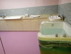 -海豚湾高端月子会所(黄浦店)