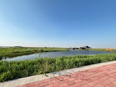 -南大港湿地风景区