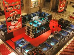 -顺峰(南二环店)
