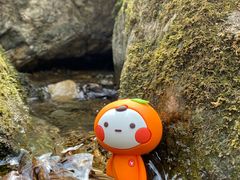 -香炉山国家森林公园