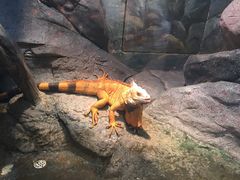 -福州罗源湾海洋世界旅游区