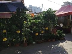 -细村农贸综合市场