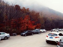 -龙道沟景区