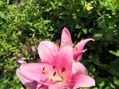 -长春公园(普阳街道)