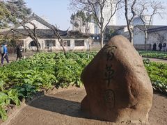 -绍兴鲁迅故里·沈园景区