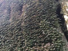 -北京大学-燕南食堂