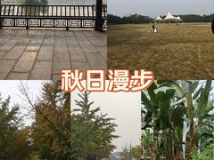 -石家庄市植物园