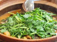 -九道菜有鸡鱼头(石鼓路店)