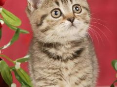 -客哪呢·传统米线小吃(瑞鼎城店)