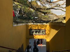 -普陀山慧济禅寺