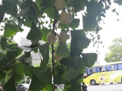 -苏州大学（独墅湖校区）-炳麟图书馆