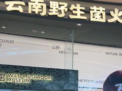 -芸山季·云南山珍菌火锅(南翔印象城MEGA店)