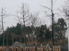 -眉山湿地公园(东坡区)