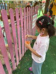 -萌宠亲子动物乐园(槐房万达店)