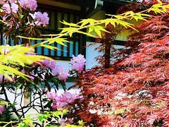 -常寂光寺