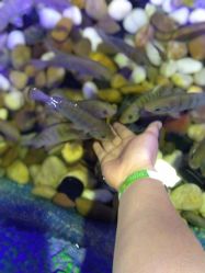 -酷嗒动物文化乐园(cutezoo西溪乐天城店)