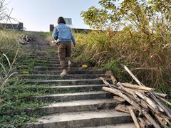 -羚羊峡古栈道森林公园