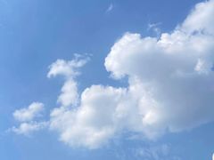 -洪兴砂锅·融合砂锅菜(三站店)