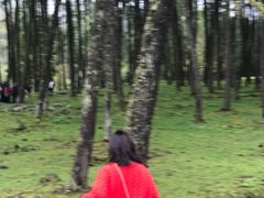 -硗碛藏寨·神木垒景区