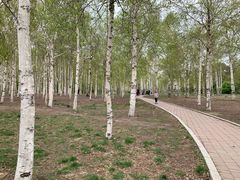 -长春市南湖公园