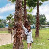 这里不是国外❗️是藏在成都三圣乡的巴厘岛🏝