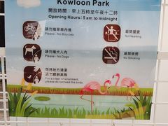 -九龙公园