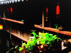 -普洱茶府(博乐广场店)