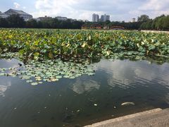 -建水文庙