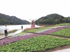 -广州市石门国家森林公园