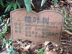 -上海佘山国家森林公园西佘山园