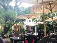 -Fern Forest Cafe