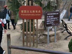 -平湖九龙山旅游度假区