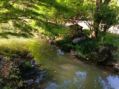 -灵栖洞天
