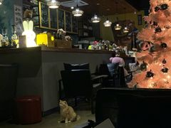 -咖法森林·咖啡  酒吧(天河店)