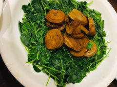 -五观堂素食(新华路店)