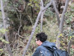 -塔云山