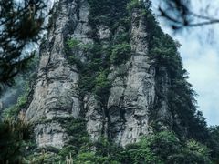 -重庆睡佛山森林公园